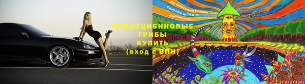 прущая мука Верея